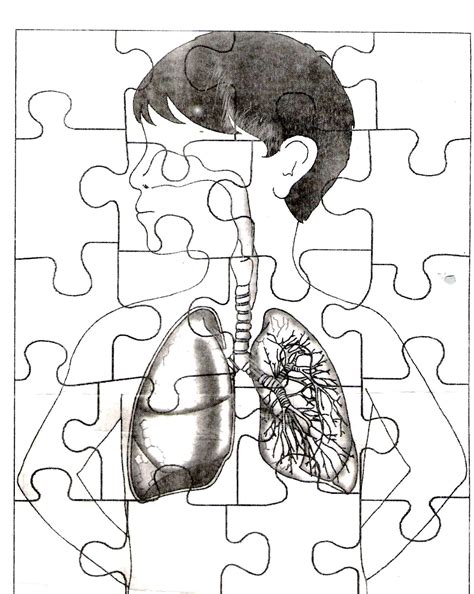 Quebra Cabeça Corpo Humano