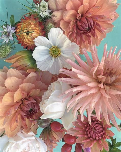 pin  sonamm shah  art floral  flower aesthetic flower painting