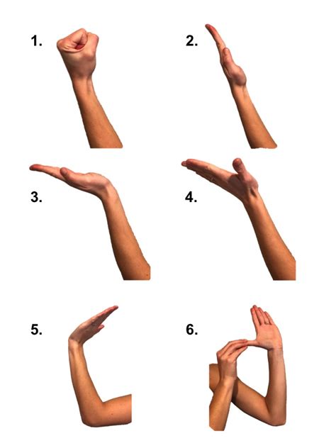 Carpal Tunnel Exercises - Nerve Gliding Exercises - Raleigh Hand ...
