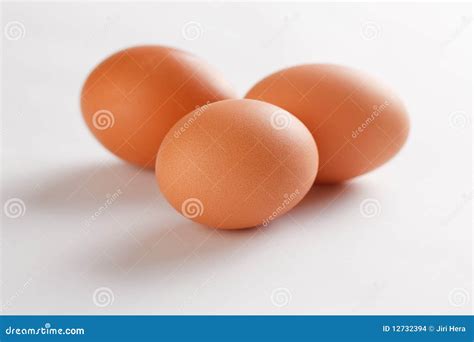 eggs stock photo image  macro farm meal clipping