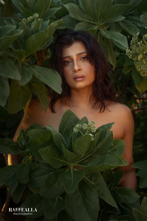 Ceylon Cheer & Fun | Diyatalawa