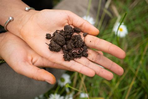 LOST VALLEY EDUCATIONAL CENTER & Intentional Community