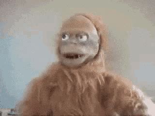 Ape Skeptical GIF - Ape Skeptical Suspicious - Discover & Share GIFs