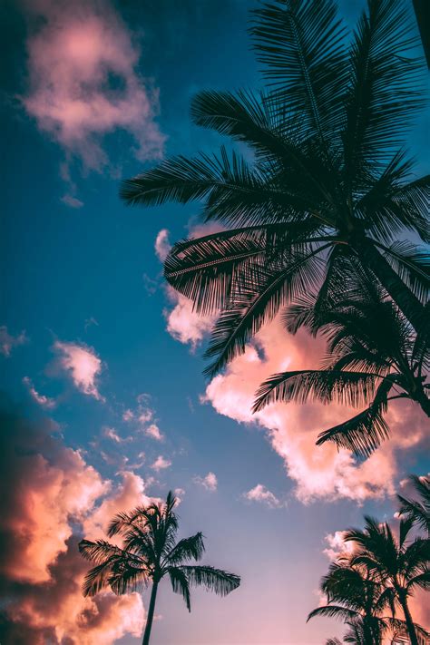 wallpapers for 12 year olds 2