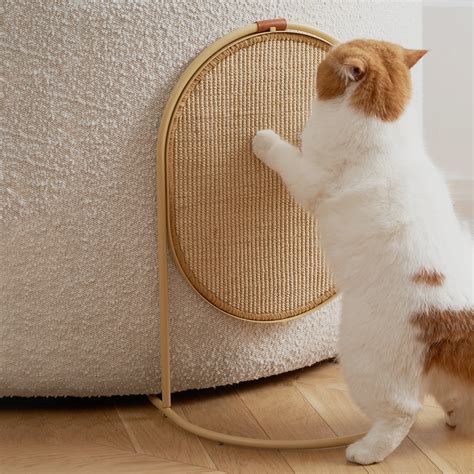 MS! Cat Scratch Board – Jfpet