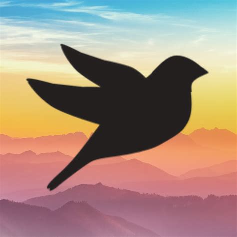 songbird creative medium