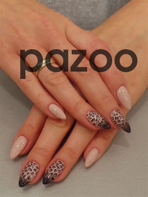 PAZOO BLOG: PANTERKA