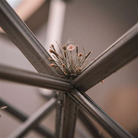 Can Zoos Truly Replicate Natural Habitats? → Question