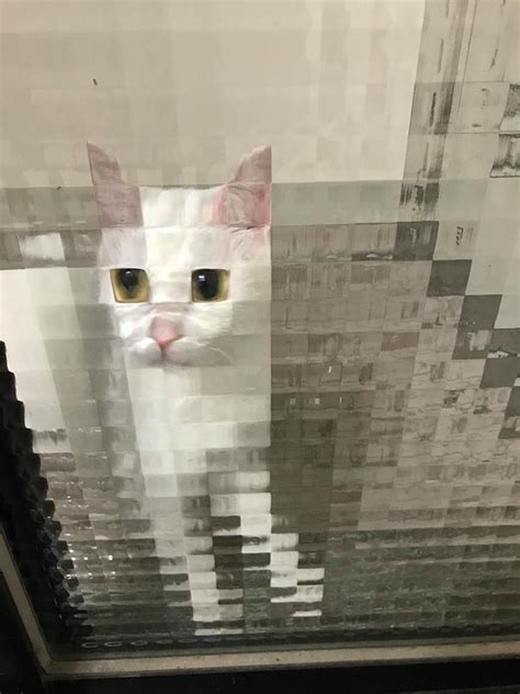 Reddit - Dive into anything