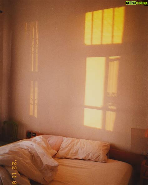 Melisa Şenolsun Wiki, Biography, Age, Gallery, Spouse and more