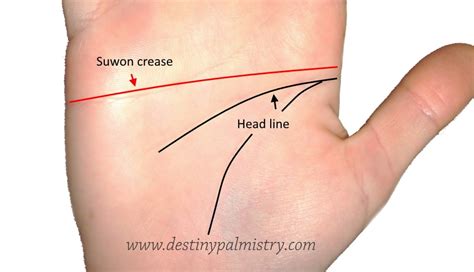 Type of Heart Line on the Palm, Which Do You Have? - Destiny Palmistry