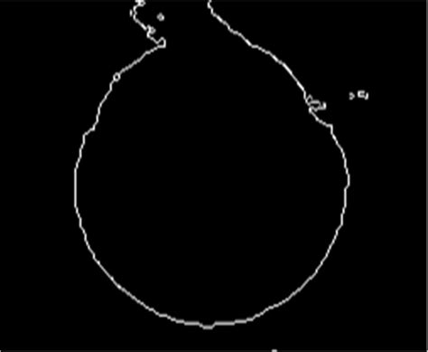 binary thresholding  gray image  scientific diagram