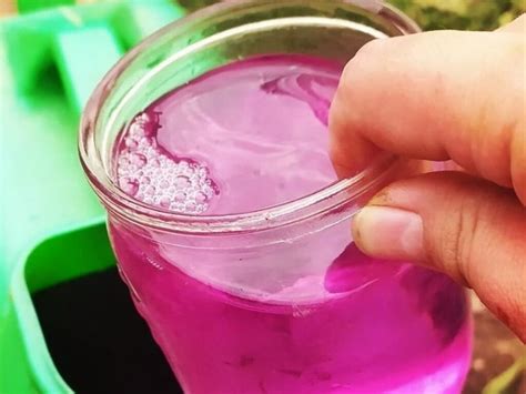 Полив огурцов марганцовкой и подкормка по листу [рецепт]