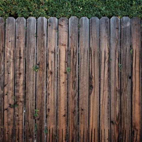 All About Wood Sealer: The Ultimate Guide – The Paver Sealer Store