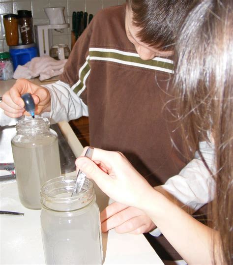 Ten kids and a Dog: Borax snowflake fun