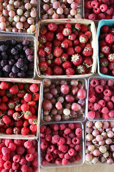 Berry Season in the Midwest