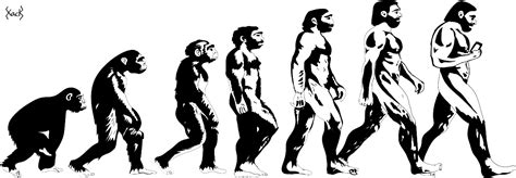 evolution
