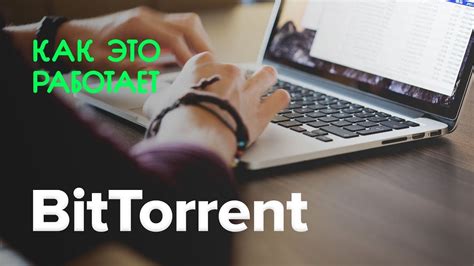 Как работает BitTorrent? - YouTube