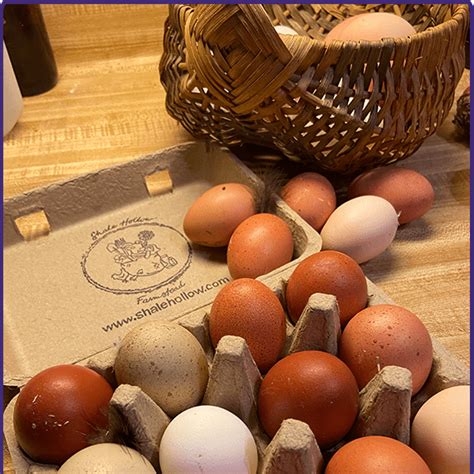 Farm Fresh Eggs – Shale Hollow Farmstead LLC