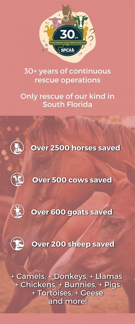 Hearts & Hoofbeats 30 Year Celebration Fundraiser - South Florida SPCA