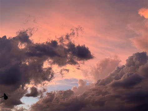 fluffy clouds      fluffy clouds stock