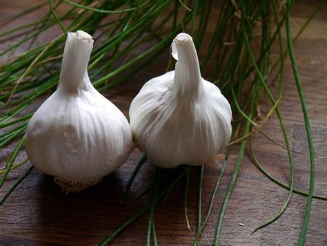 Garlic Spice Raw - Free photo on Pixabay - Pixabay