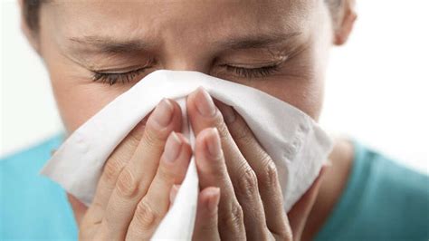 Kennel Cough: 10 Kennel Cough Symptoms