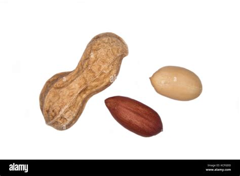 toasted peeled  peeled   white background stock photo alamy