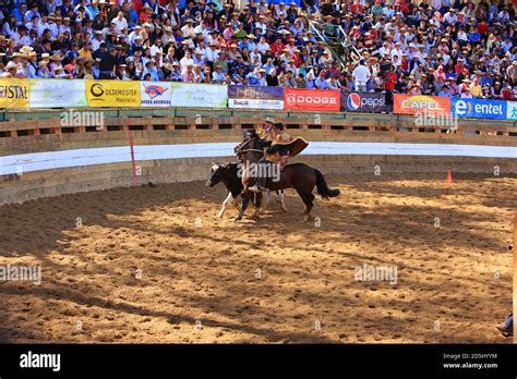 Chile, South America Stock Photo - Alamy