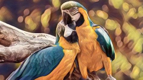 Bird Symbolism And Meaning: Explained With Bird Table