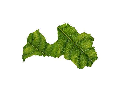 Latvia map made of green leaves ecology concept 37302094 PNG