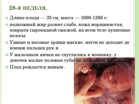 Период беременности и родов. Оплодотворение - презентация онлайн