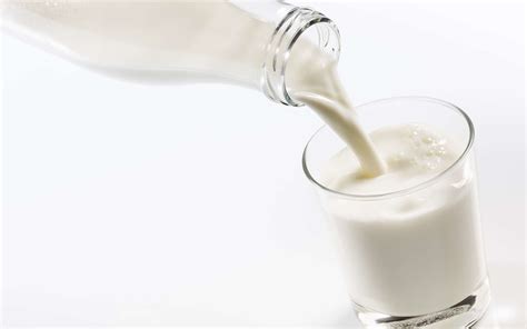 Lait animal, lait végétal : quelles différences
