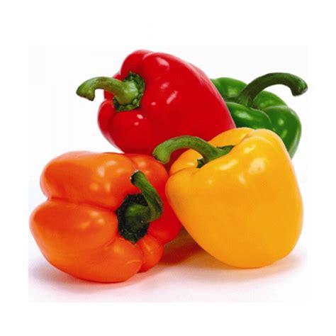 buy mixed capsicum holland gm   aed  bayzon