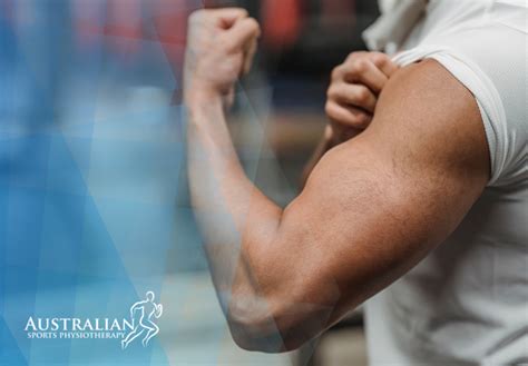 Bicep Tendon Tear Physio | Australian Sports Physiotherapy