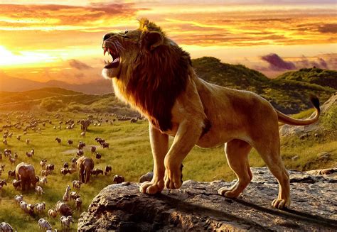 Mufasa 2024 Plots In - Gerti Juliane