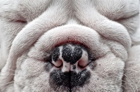 Fill The Frame Photo Contest Winners - VIEWBUG.com