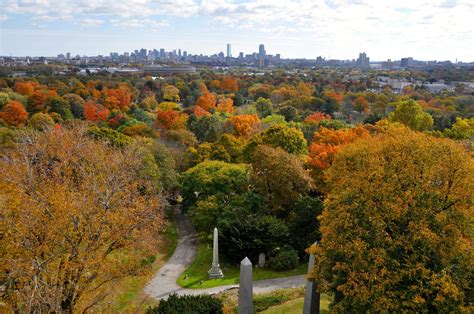 Boston skyline from Mt. Auburn Cemetery : r/boston