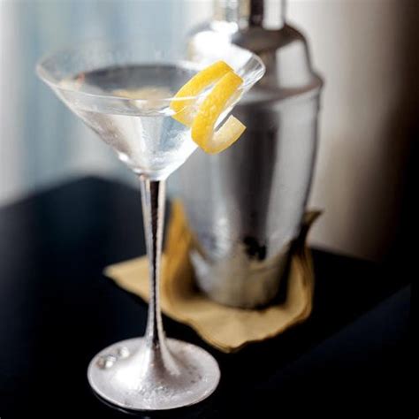 The Classic Martini (Gibson), The Perfect Drink | HubPages
