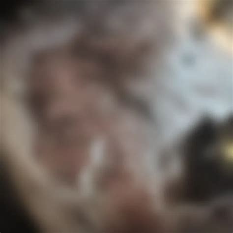 Effective Strategies for Cleaning Bed Bug Infestations