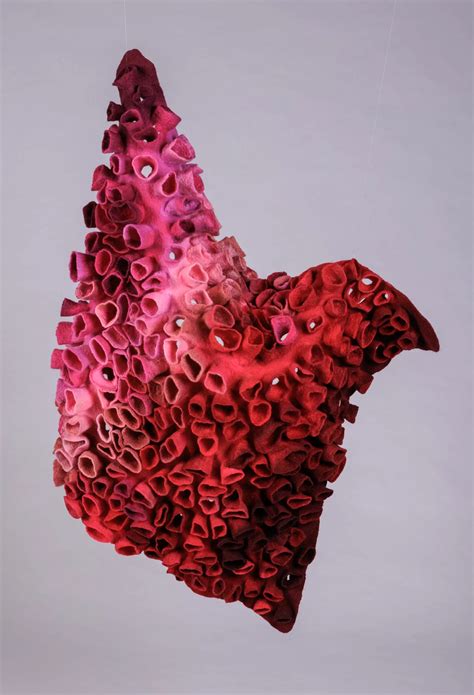 Galerie d'images - Bloomfelt