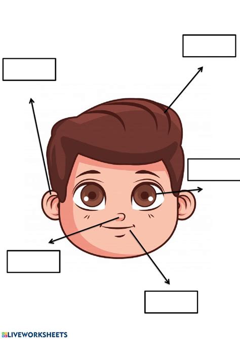 parts  face worksheet teacher planning english activities teacher