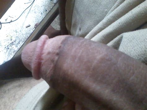 beast porno fotos xxx pics sex beelden  pictoa