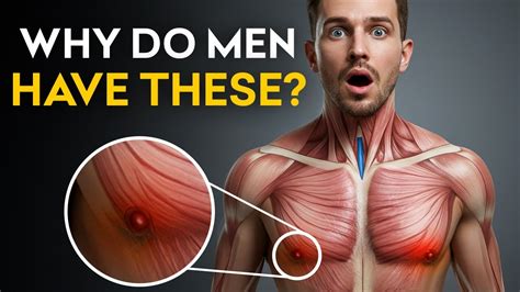 The Surprising Story Behind Male Nipples Revealed - YouTube