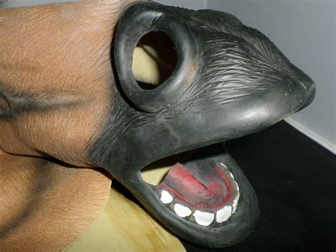 Horse Head Mask Helmet Halloween Costume Cosplay Late… - Gem