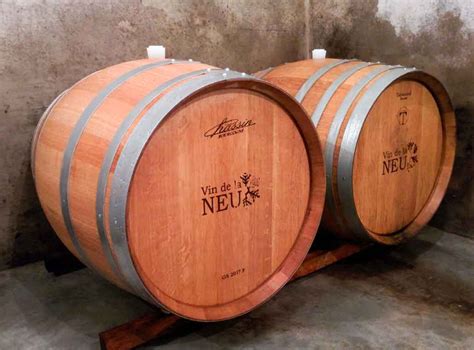 Snow wine | Italian Traditions