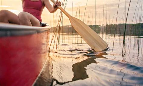 Canoeing For Beginners: A Guide To Get You Started - Cool of the Wild