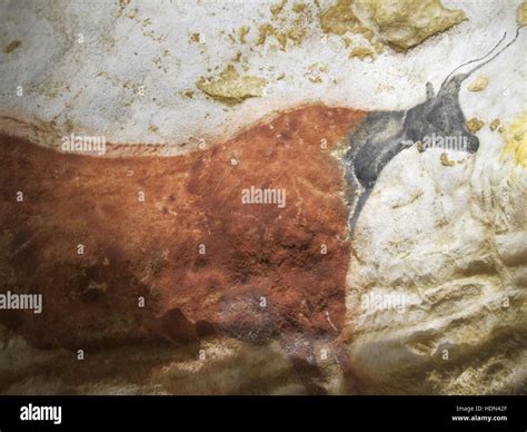 Cave painting prehistoric cow hi-res stock photography and images - Alamy