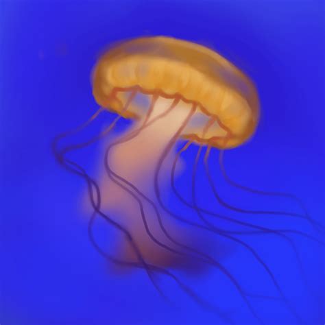 The Immortal Jellyfish