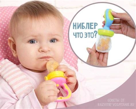 Все о ниблере: прикорм малышей с сеточкой для фруктов, как называется ...